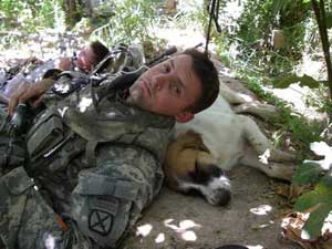 no-dog no-dog