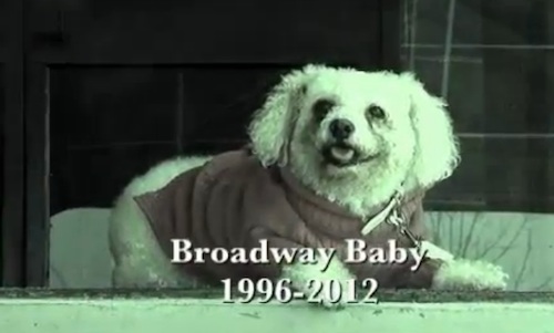 dance moms season 3 episode 9 Broadway Baby
