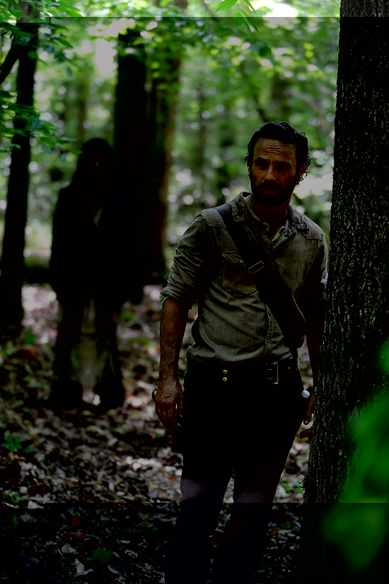 Walking-Dead_Sn4_1 The Walking Dead spinoff Season 4 AMC Andrew Lincoln