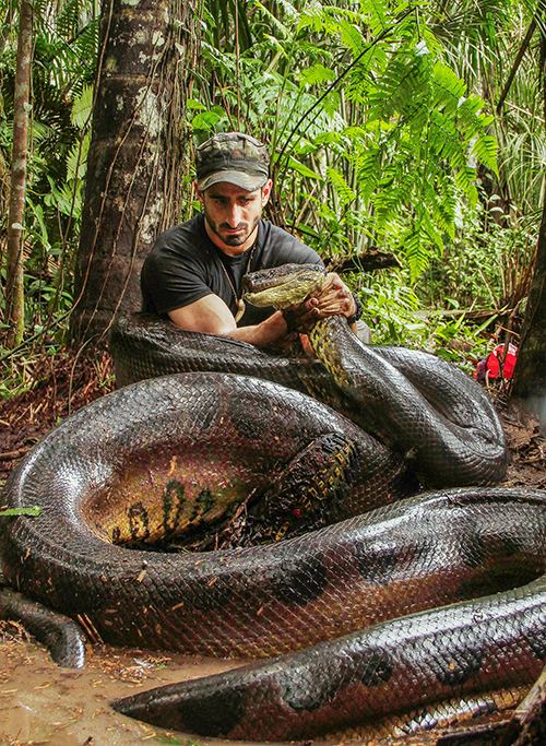 For real? Man gets eaten by snake in Discovery’s new “Eaten Alive